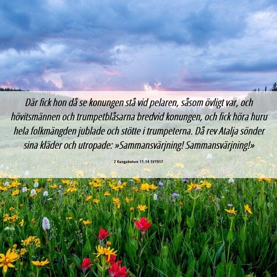 Picture 06 - 2 Kungaboken 11:14 SV1917 - Där fick hon då se konungen stå vid pelaren, - Bible Verse Picture