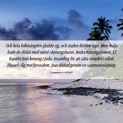 Picture 06 - 2 Kungaboken 11:20 SV1917 - Och hela folkmängden gladde sig, och staden - Bible Verse Picture