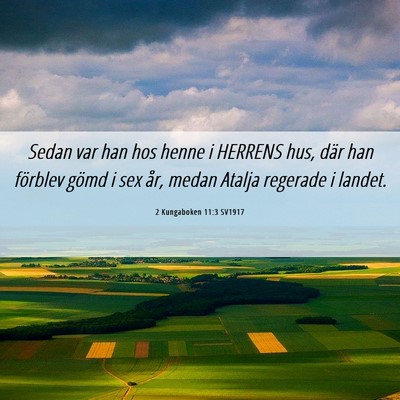 Picture 06 - 2 Kungaboken 11:3 SV1917 - Sedan var han hos henne i HERRENS hus, där han - Bible Verse Picture