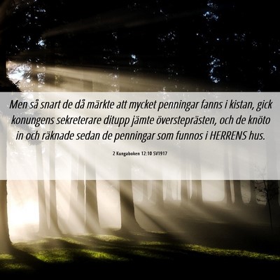 Picture 06 - 2 Kungaboken 12:10 SV1917 - Men så snart de då märkte att mycket penningar - Bible Verse Picture