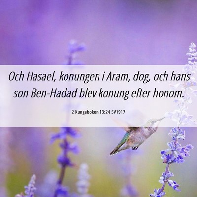 Picture 06 - 2 Kungaboken 13:24 SV1917 - Och Hasael, konungen i Aram, dog, och hans son - Bible Verse Picture