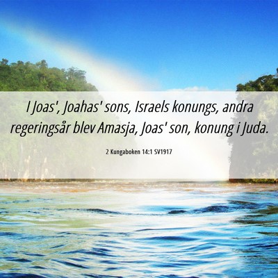Picture 06 - 2 Kungaboken 14:1 SV1917 - I Joas', Joahas' sons, Israels konungs, andra - Bible Verse Picture