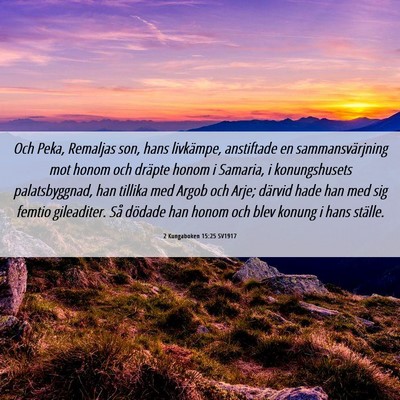 Picture 06 - 2 Kungaboken 15:25 SV1917 - Och Peka, Remaljas son, hans livkämpe, - Bible Verse Picture