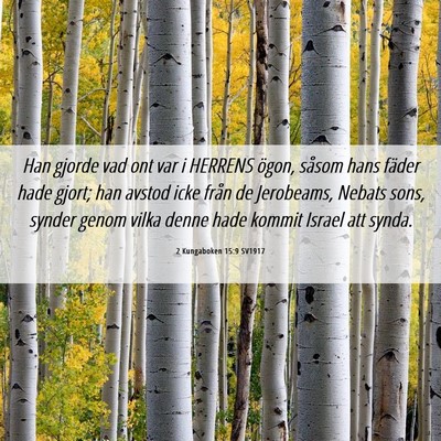 Picture 06 - 2 Kungaboken 15:9 SV1917 - Han gjorde vad ont var i HERRENS ögon, såsom - Bible Verse Picture