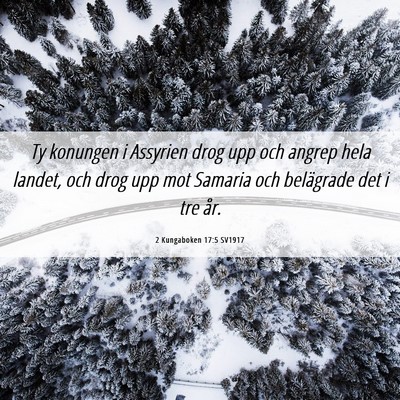 Picture 06 - 2 Kungaboken 17:5 SV1917 - Ty konungen i Assyrien drog upp och angrep hela - Bible Verse Picture