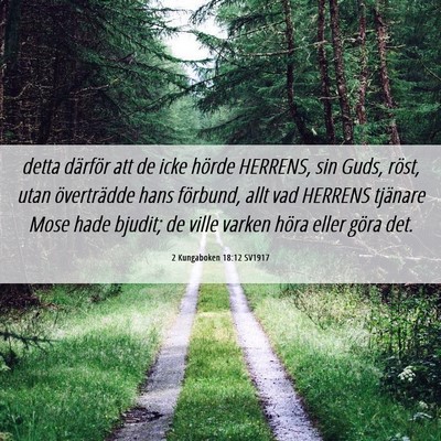 Picture 06 - 2 Kungaboken 18:12 SV1917 - detta därför att de icke hörde HERRENS, sin - Bible Verse Picture