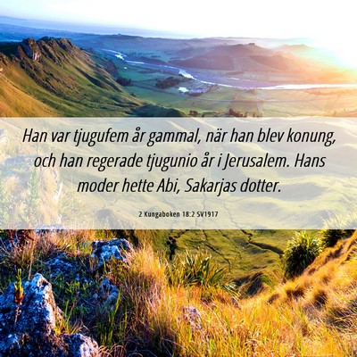 Picture 06 - 2 Kungaboken 18:2 SV1917 - Han var tjugufem år gammal, när han blev - Bible Verse Picture
