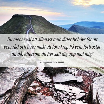 Picture 06 - 2 Kungaboken 18:20 SV1917 - Du menar väl att allenast munväder behövs för - Bible Verse Picture
