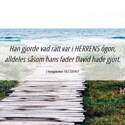 Picture 06 - 2 Kungaboken 18:3 SV1917 - Han gjorde vad rätt var i HERRENS ögon, - Bible Verse Picture