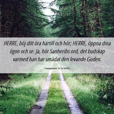 Picture 06 - 2 Kungaboken 19:16 SV1917 - HERRE, böj ditt öra härtill och hör; HERRE, - Bible Verse Picture