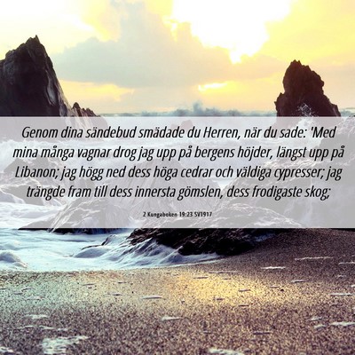 Picture 06 - 2 Kungaboken 19:23 SV1917 - Genom dina sändebud smädade du Herren, när du - Bible Verse Picture