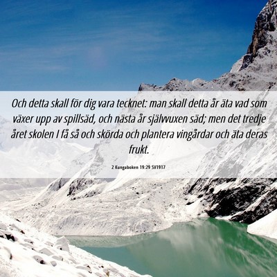 Picture 06 - 2 Kungaboken 19:29 SV1917 - Och detta skall för dig vara tecknet: man skall - Bible Verse Picture