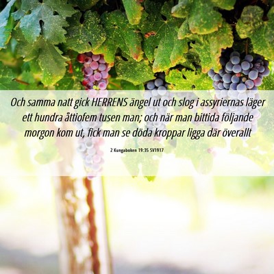 Picture 06 - 2 Kungaboken 19:35 SV1917 - Och samma natt gick HERRENS ängel ut och slog i - Bible Verse Picture