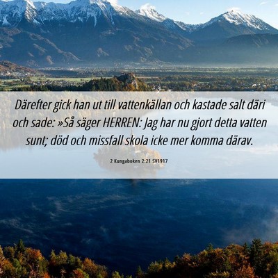 Picture 06 - 2 Kungaboken 2:21 SV1917 - Därefter gick han ut till vattenkällan och - Bible Verse Picture