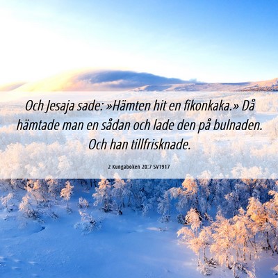 Picture 06 - 2 Kungaboken 20:7 SV1917 - Och Jesaja sade: »Hämten hit en fikonkaka.» - Bible Verse Picture