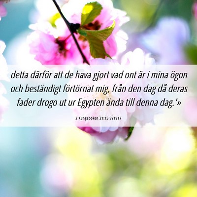 Picture 06 - 2 Kungaboken 21:15 SV1917 - detta därför att de hava gjort vad ont är i - Bible Verse Picture