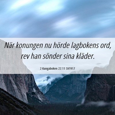 Picture 06 - 2 Kungaboken 22:11 SV1917 - När konungen nu hörde lagbokens ord, rev han - Bible Verse Picture