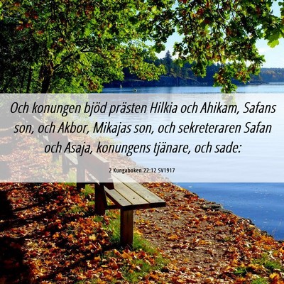 Picture 06 - 2 Kungaboken 22:12 SV1917 - Och konungen bjöd prästen Hilkia och Ahikam, - Bible Verse Picture