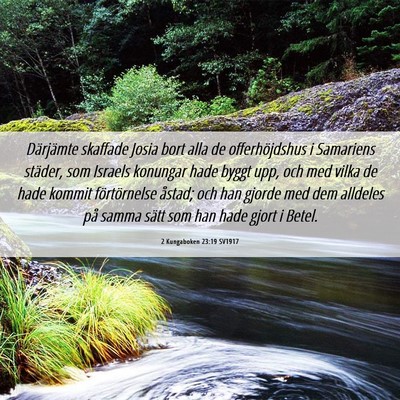 Picture 06 - 2 Kungaboken 23:19 SV1917 - Därjämte skaffade Josia bort alla de - Bible Verse Picture
