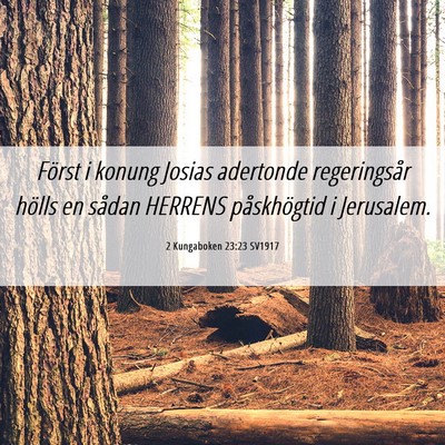 Picture 06 - 2 Kungaboken 23:23 SV1917 - Först i konung Josias adertonde regeringsår - Bible Verse Picture