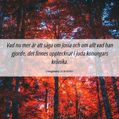 Picture 06 - 2 Kungaboken 23:28 SV1917 - Vad nu mer är att säga om Josia och om allt vad - Bible Verse Picture
