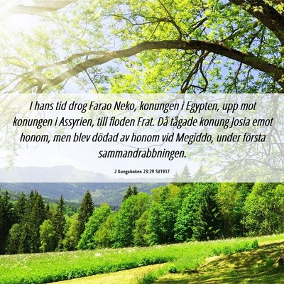 Picture 06 - 2 Kungaboken 23:29 SV1917 - I hans tid drog Farao Neko, konungen i Egypten, - Bible Verse Picture
