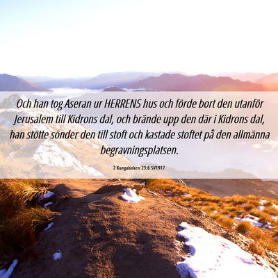 Picture 06 - 2 Kungaboken 23:6 SV1917 - Och han tog Aseran ur HERRENS hus och förde bort - Bible Verse Picture