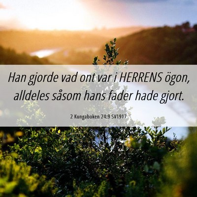 Picture 06 - 2 Kungaboken 24:9 SV1917 - Han gjorde vad ont var i HERRENS ögon, alldeles - Bible Verse Picture