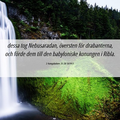 Picture 06 - 2 Kungaboken 25:20 SV1917 - dessa tog Nebusaradan, översten för - Bible Verse Picture