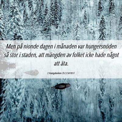 Picture 06 - 2 Kungaboken 25:3 SV1917 - Men på nionde dagen i månaden var hungersnöden - Bible Verse Picture