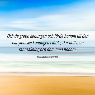 Picture 06 - 2 Kungaboken 25:6 SV1917 - Och de grepo konungen och förde honom till den - Bible Verse Picture
