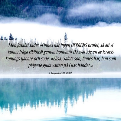 Picture 06 - 2 Kungaboken 3:11 SV1917 - Men Josafat sade: »Finnes här ingen HERRENS - Bible Verse Picture