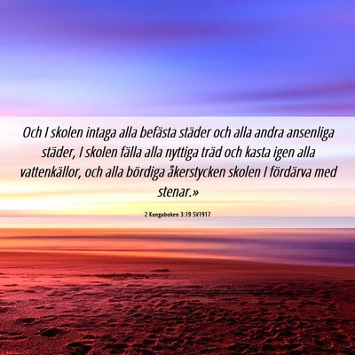 Picture 06 - 2 Kungaboken 3:19 SV1917 - Och I skolen intaga alla befästa städer och - Bible Verse Picture