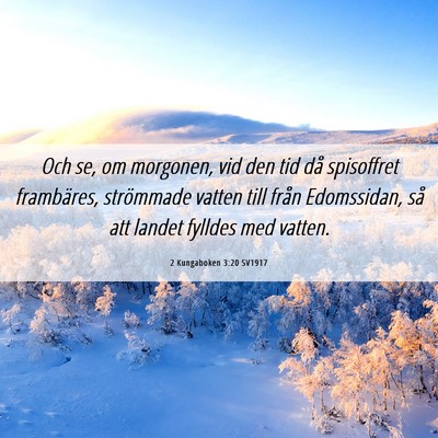Picture 06 - 2 Kungaboken 3:20 SV1917 - Och se, om morgonen, vid den tid då spisoffret - Bible Verse Picture