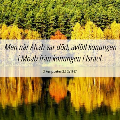 Picture 06 - 2 Kungaboken 3:5 SV1917 - Men när Ahab var död, avföll konungen i Moab - Bible Verse Picture