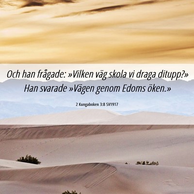 Picture 06 - 2 Kungaboken 3:8 SV1917 - Och han frågade: »Vilken väg skola vi draga - Bible Verse Picture