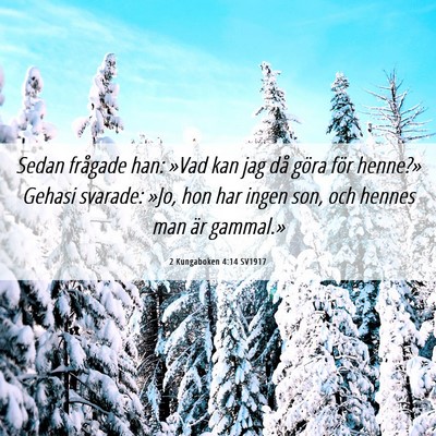 Picture 06 - 2 Kungaboken 4:14 SV1917 - Sedan frågade han: »Vad kan jag då göra för - Bible Verse Picture