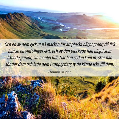 Picture 06 - 2 Kungaboken 4:39 SV1917 - Och en av dem gick ut på marken för att plocka - Bible Verse Picture