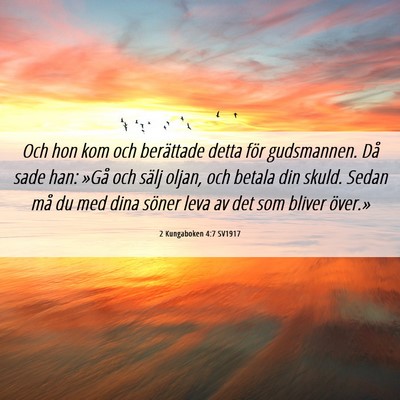 Picture 06 - 2 Kungaboken 4:7 SV1917 - Och hon kom och berättade detta för gudsmannen. - Bible Verse Picture