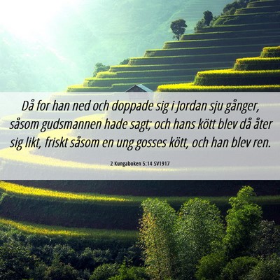 Picture 06 - 2 Kungaboken 5:14 SV1917 - Då for han ned och doppade sig i Jordan sju - Bible Verse Picture