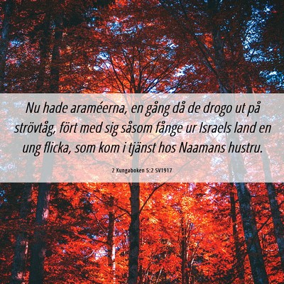 Picture 06 - 2 Kungaboken 5:2 SV1917 - Nu hade araméerna, en gång då de drogo ut på - Bible Verse Picture
