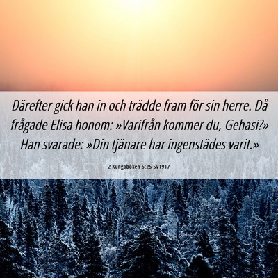 Picture 06 - 2 Kungaboken 5:25 SV1917 - Därefter gick han in och trädde fram för sin - Bible Verse Picture