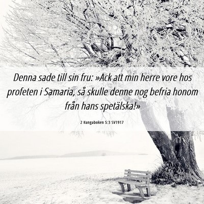 Picture 06 - 2 Kungaboken 5:3 SV1917 - Denna sade till sin fru: »Ack att min herre vore - Bible Verse Picture