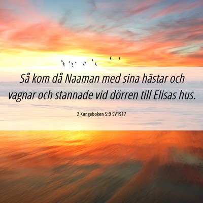 Picture 06 - 2 Kungaboken 5:9 SV1917 - Så kom då Naaman med sina hästar och vagnar - Bible Verse Picture