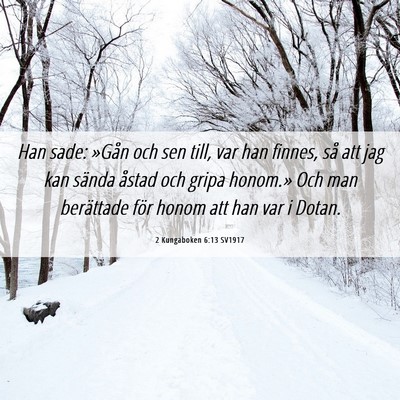 Picture 06 - 2 Kungaboken 6:13 SV1917 - Han sade: »Gån och sen till, var han finnes, - Bible Verse Picture