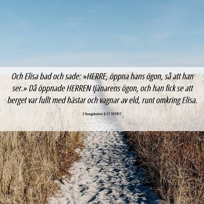 Picture 06 - 2 Kungaboken 6:17 SV1917 - Och Elisa bad och sade: »HERRE, öppna hans - Bible Verse Picture