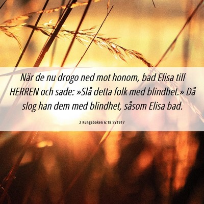 Picture 06 - 2 Kungaboken 6:18 SV1917 - När de nu drogo ned mot honom, bad Elisa till - Bible Verse Picture