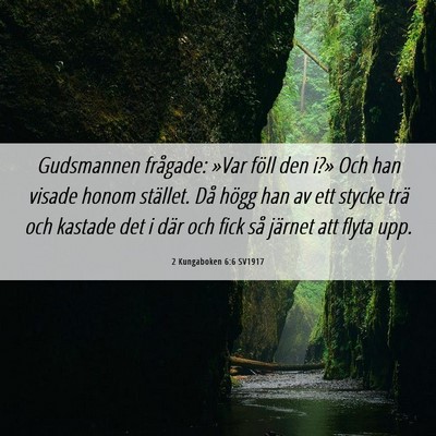 Picture 06 - 2 Kungaboken 6:6 SV1917 - Gudsmannen frågade: »Var föll den i?» Och han - Bible Verse Picture
