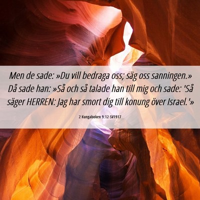 Picture 06 - 2 Kungaboken 9:12 SV1917 - Men de sade: »Du vill bedraga oss; säg oss - Bible Verse Picture