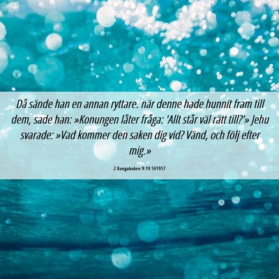 Picture 06 - 2 Kungaboken 9:19 SV1917 - Då sände han en annan ryttare. när denne hade - Bible Verse Picture